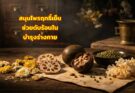 ยาสมุนไพร ฤทธิ์เย็น 凉補 ตามภูมิปัญญาแพทย์แผนจีน